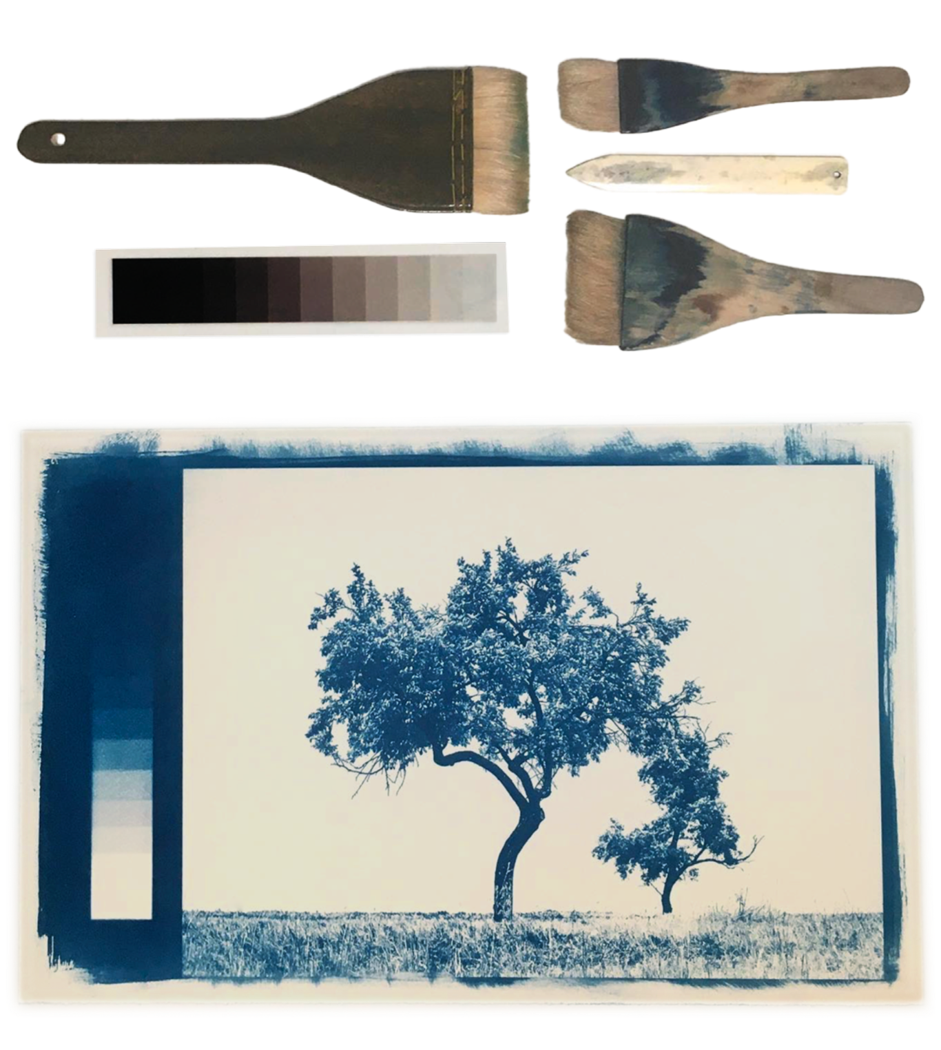 Outils d'atelier charte de gris et pinceau pour l'atelier cyanotype