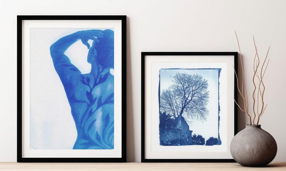 Tirages & Impressions Oeuvres encadrées en cyanotype végétal, création artistique poétique par Agnes M.